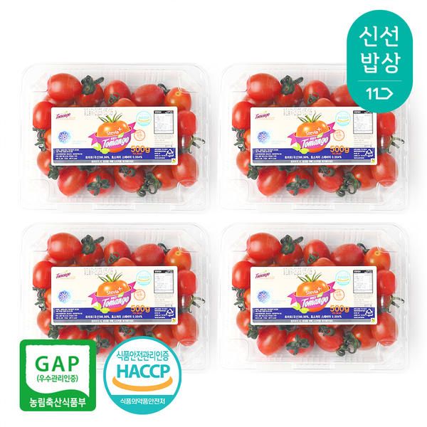 상품 이미지: 장보남 달콤한 스테비아 토마토 500gx4팩 3종모음(총2kg)