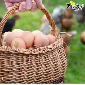 상품 이미지: 자연을담음 무항생제 난각1번 유정란 40구/ 대란