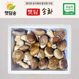 상품 이미지: 햇담 송화버섯 가정용 1kg 농협에 납품하는 이천 무농약 송고버섯 중급 실속형 농장 직배송