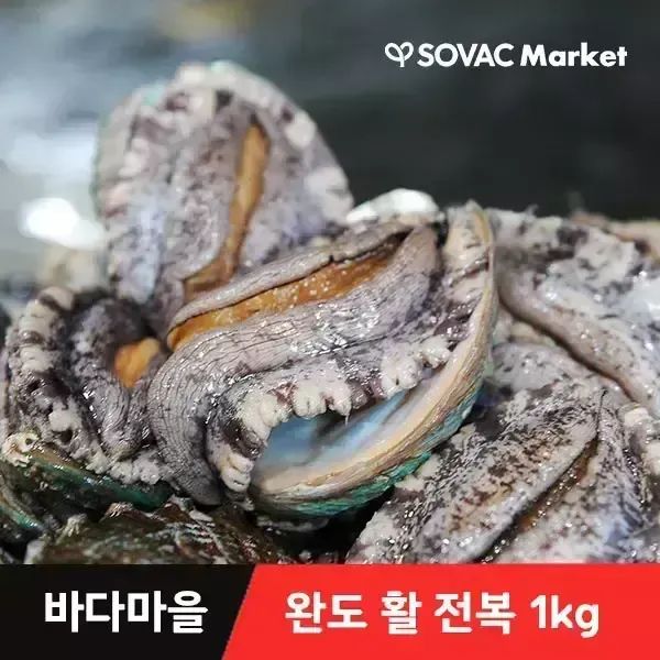 상품 이미지: [바다마을] 완도 산지직송 활 전복 1kg 8~9미 왕특대 산소포장