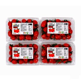 상품 이미지: 스테비아 토마토 대추 방울토마토 산지직송 2kg (500g4팩)