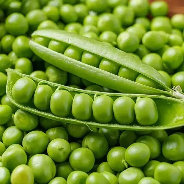 상품 이미지: 달큰한 풍미 전청프레시 국내산 완두콩 1kg 2kg