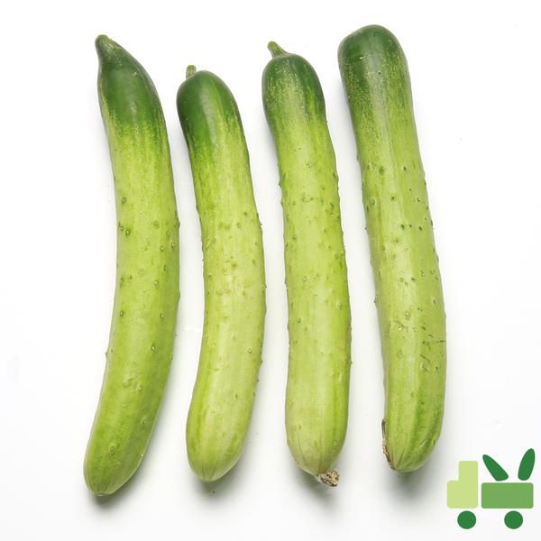 상품 이미지: 백다다기 오이 (백오이) 10Kg (특)