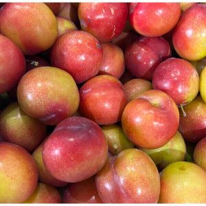 상품 이미지: (신선집중/15%+NH10%) 자두 대석 자두 2kg 개당 40g내외(50과내외)