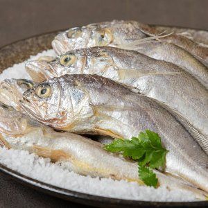 상품 이미지: 냉동국산 영광 참굴비 (3호 700g/10미)