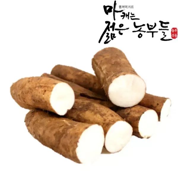 상품 이미지: [마캐는젊은농부들]마 안동마 장마 산마  알뜰마 2kg 3kg