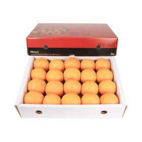 상품 이미지: 제주 카라향(귤로향) 대과 3kg(13~24과 내외)
