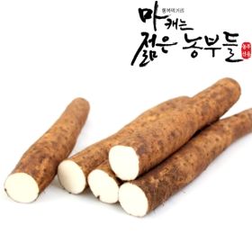 상품 이미지: 마캐는 젊은 농부들 안동마 부용농산 장마(중품) 2kg  영파머스몰