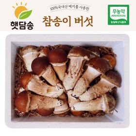 상품 이미지: 햇담 참송이버섯 정품 특대사이즈 최상급 500g 1kg 농협에 납품하는 무농약 이천 참송이버섯 농장 직배송