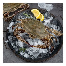 상품 이미지: 자연맛남 산지직송 연평도 활 암꽃게 3kg (kg당3-4미/빙장포장)