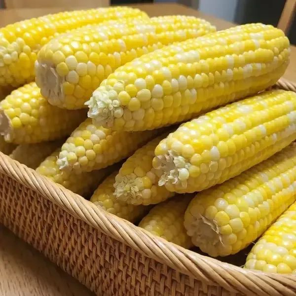 상품 이미지: 국내산 초당 옥수수 생으로 먹는 고당도 제철 초당옥수수 15개 (중품)