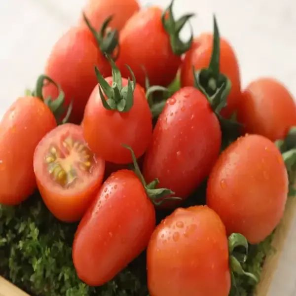 상품 이미지: [감동마토 총 2kg] 스테비아 대추방울토마토 500g x 4팩