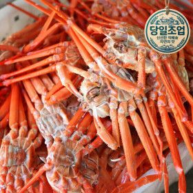 상품 이미지: (신선집중) 3일특가 박달홍게 /6kg 대용량 실속형 자숙 홍게  / 당일조업 / 오후 4시이전 주문시 당일출고
