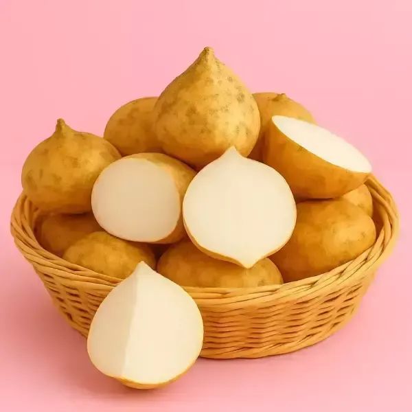 상품 이미지: 안안 히카마