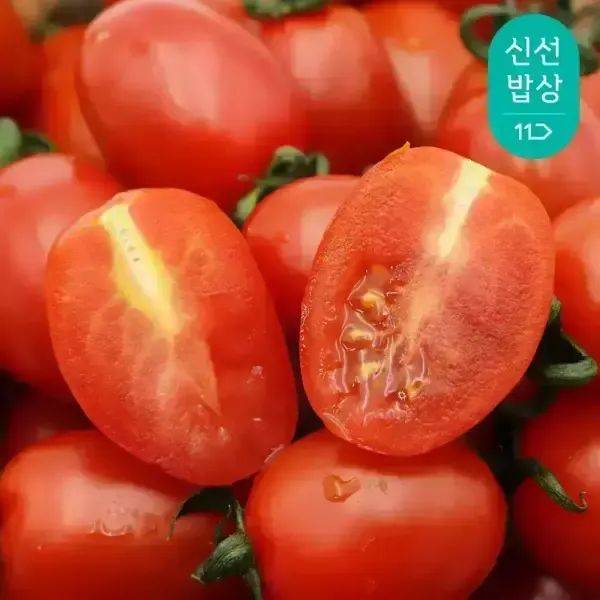 상품 이미지: [품질보장] 탱글 달콤 대추 방울토마토 로얄과 1/2/3kg