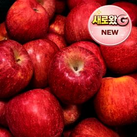 상품 이미지: (최대16brix) 대형마트납품 A급 부사사과 꿀사과 // 2kg(중소과) 10-12과내외 산지직송
