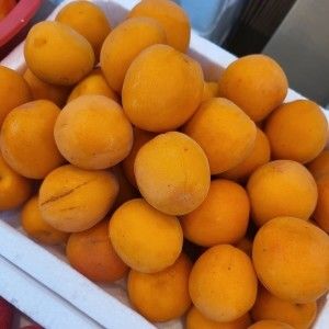 상품 이미지: 새콤달콤살구 김천살구 특등급 5kg