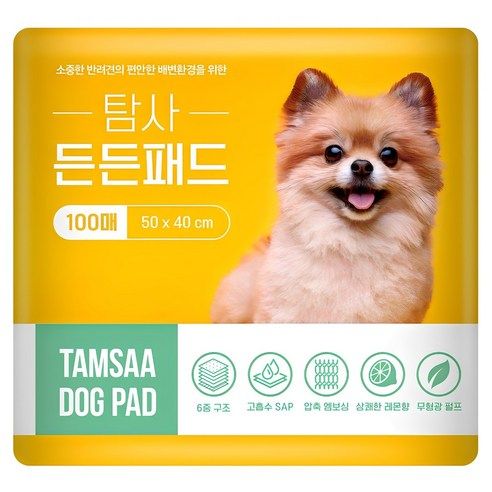 상품 이미지: 탐사 고흡수 든든패드 레몬향