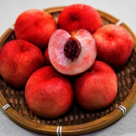 상품 이미지: (신선집중) 대극천(반납작)복숭아 2kg 소과 (21-32과 내외) / 특가판매