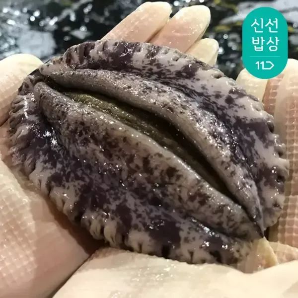 상품 이미지: [품질보장]해신수산 완도활전복 특특大 6-7미 1kg