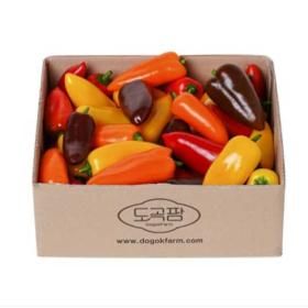 상품 이미지: (신선집중) 화순 도곡팜 미니 파프리카 1.2kg (벌크포장)