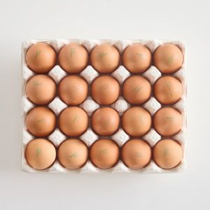 상품 이미지: (신선집중) 알참참 HACCP 무항생제 특란 60구 계란 생란