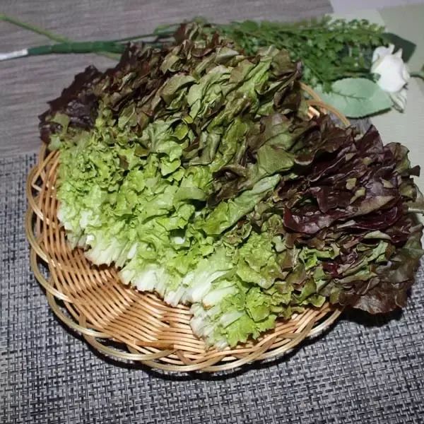 상품 이미지: 적상추4kg1박스 자연대로팜웨이