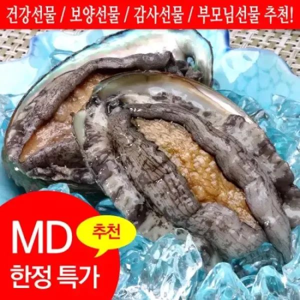 상품 이미지: [완도전복]활전복 특특대 고급횟감용(8-9미) 1kg 산소포장_국내양식산