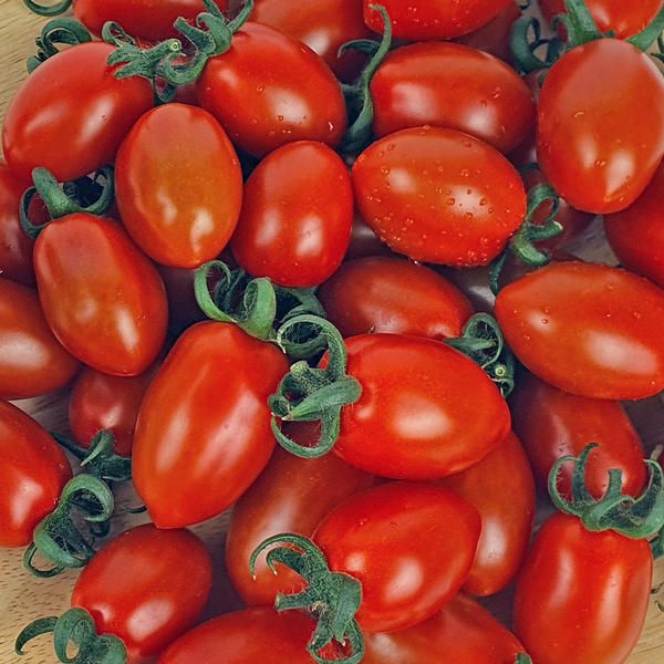 상품 이미지: 매일수확 탱글탱글 신선한 대추방울토마토 2kg/4kg(1-3번과)