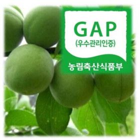 상품 이미지: 하동참다래매실농원 청매실 10kg(왕특) 1번과