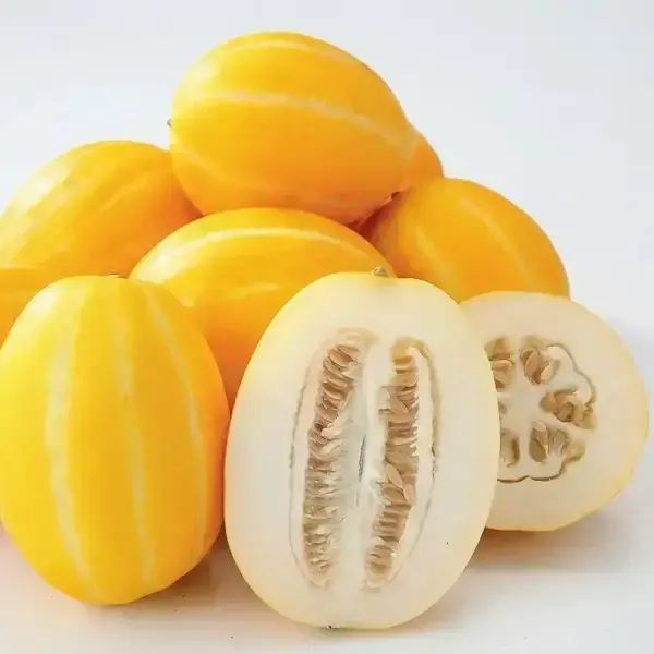 상품 이미지: 성주 햇살 담은 성주 꿀 참외 가정용 참외 10kg (중소과/27~75과/가정용)