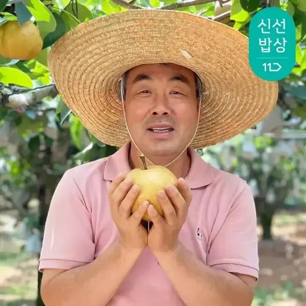 상품 이미지: 과일꾼 GAP인증 30년 경력 농부 나주배 가정용 5kg 10-12과
