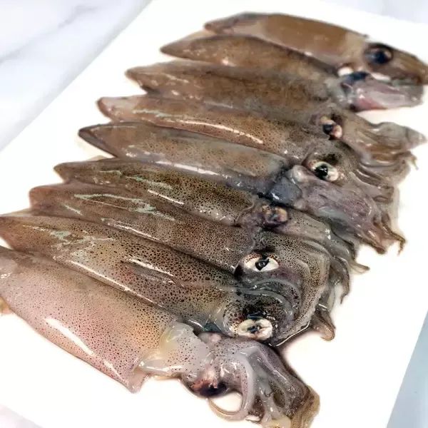 상품 이미지: 숙회용 대왕 꼴뚜기 600g (300g X 2팩)