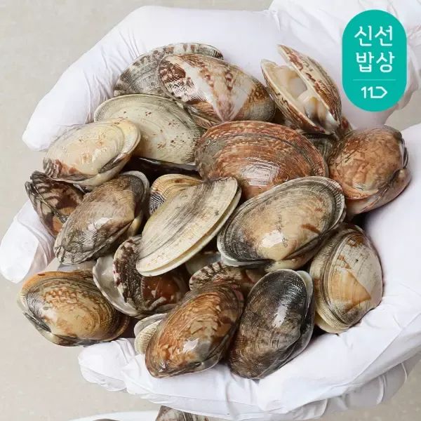 상품 이미지: 당일작업 남해안 활 바지락 3kg