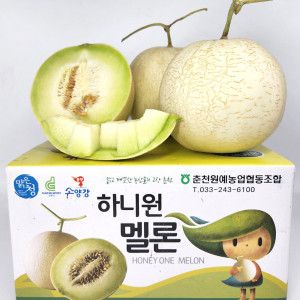 상품 이미지: 프리미엄 고당도 하니원 멜론 특대과 3입(4kg내외)