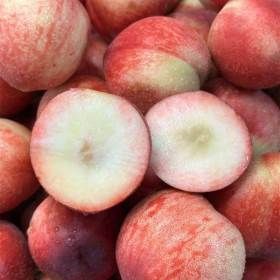 상품 이미지: (신선집중/15%+NH10%) 제철 신비복숭아 2kg 중소과 (25~32과내외)