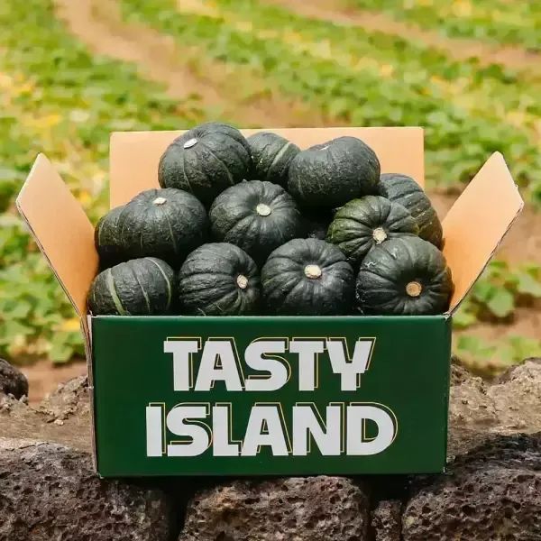 상품 이미지: [테이스티]제주 미니단호박 밤호박 4kg 로얄과(6-16과) 실중량 / 2개 구매시 9kg 발송