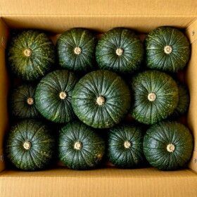 상품 이미지: (마감세일) 포슬포슬 제주 미니밤호박 3kg 정품 A급 로얄과 5-9과내외 박스포함 단호박 보우짱