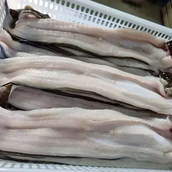 상품 이미지: 통영 손질 바다장어 대 1kg(손질후650g내외/1~3미)