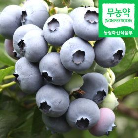 상품 이미지: (냉동) 블루베리생과 2kg / 국내산 냉동 생블루베리 / 왕품 크기(1.7cm이상)