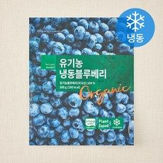상품 이미지: 딜라잇가든 유기가공식품 인증 블루베리 (냉동), 500g, 1개