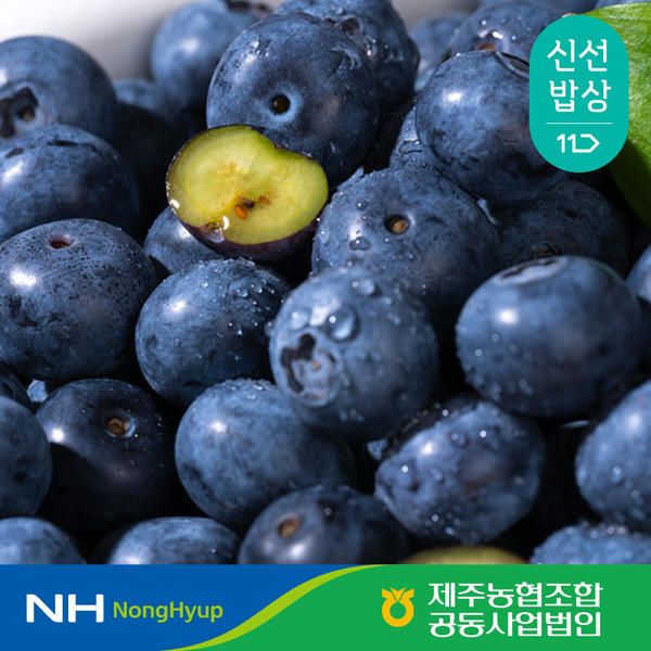 상품 이미지: [제주농협] 생 블루베리 600g (100g X 6팩)14-16mm