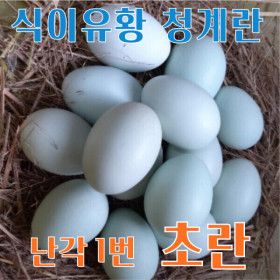 상품 이미지: 강원고성 자연방사 유황청란 (초란 30구) 청계 유정란 (난각1번)