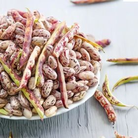 상품 이미지: 국산 햇 호랑이콩 4kg 포슬포슬 2026년산 호랑이강낭콩 얼룩콩 밤콩 울타리콩