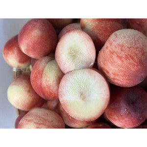 상품 이미지: 경북 신비복숭아 아삭한 여름 제철 복숭아 2kg 특대과(8-18과)