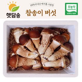 상품 이미지: 햇담 참송이버섯 정품 특대사이즈 최상급 500g 1kg 농협에 납품하는 무농약 이천 참송이버섯 농장 직배송