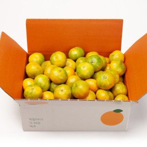 상품 이미지: 깨비농원 제주 고당도 하우스감귤 4.5kg