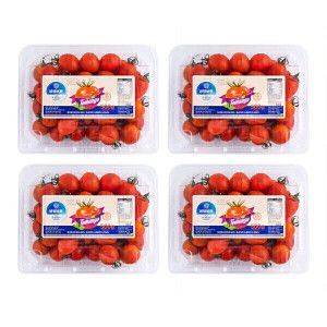 상품 이미지: 달콤한 토망고 2kg (500g x4팩) 스테비아 대추방울토마토 일반/망고향/청포도향