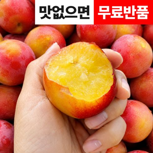 상품 이미지: [한정수량] 새콤달콤 국내산 햇 자두, 1개, 1kg