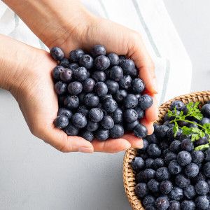 상품 이미지: (신선집중) 유기농블루베리 생과 1kg 특품(15mm이상)/국내산/26년 첫출하
